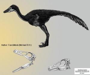 Zanabazar is one of the largest known troodontids, with a skull of 272 mm puzzle