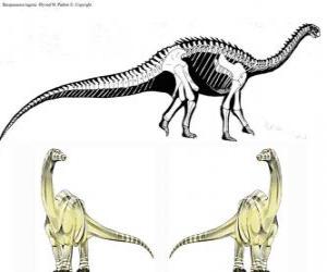 Zizhongosaurus is a genus of basal herbivorous sauropod dinosaur which lived in the Early Jurassic Period of China. puzzle