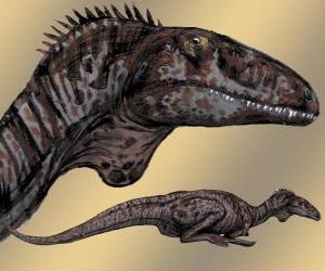 Zupaysaurus was a medium-sized theropod, measured approximately 45 centimeters (18 in) in length, indicating a body length of approximately 4 meters (13 ft) from snout to tail tip puzzle