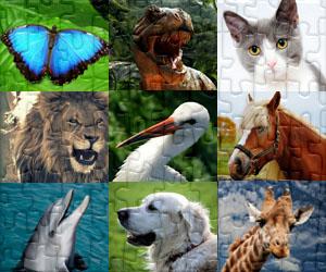 Animals puzzles