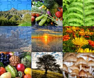 Nature puzzles