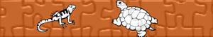 puzzles Reptiles