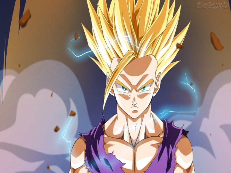 dbz person puzzle