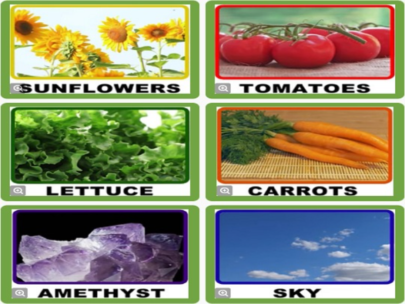 sunflowers tomatoes lettuce carrots amethyst sky puzzle