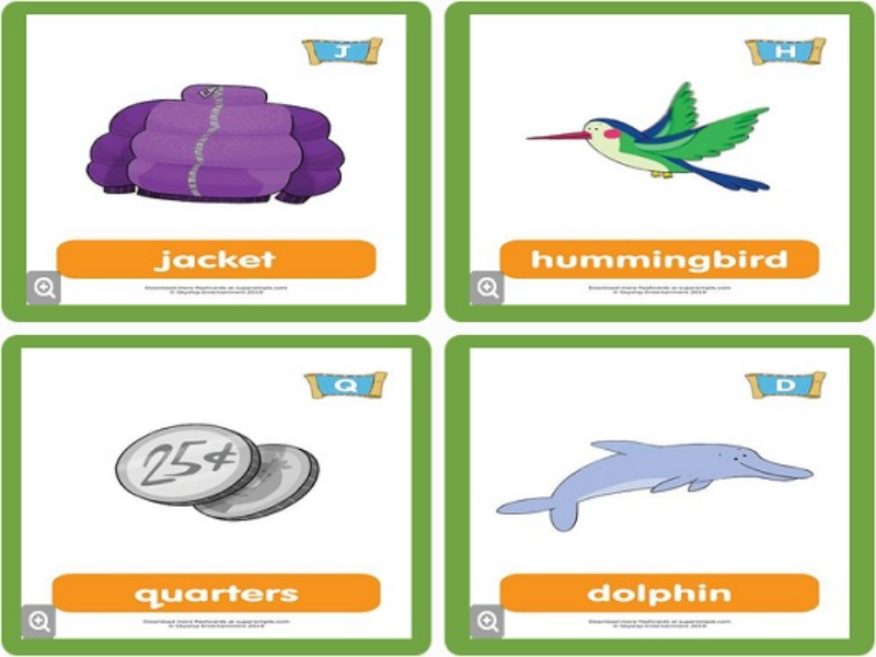jacket hummingbird quarters dolphin puzzle
