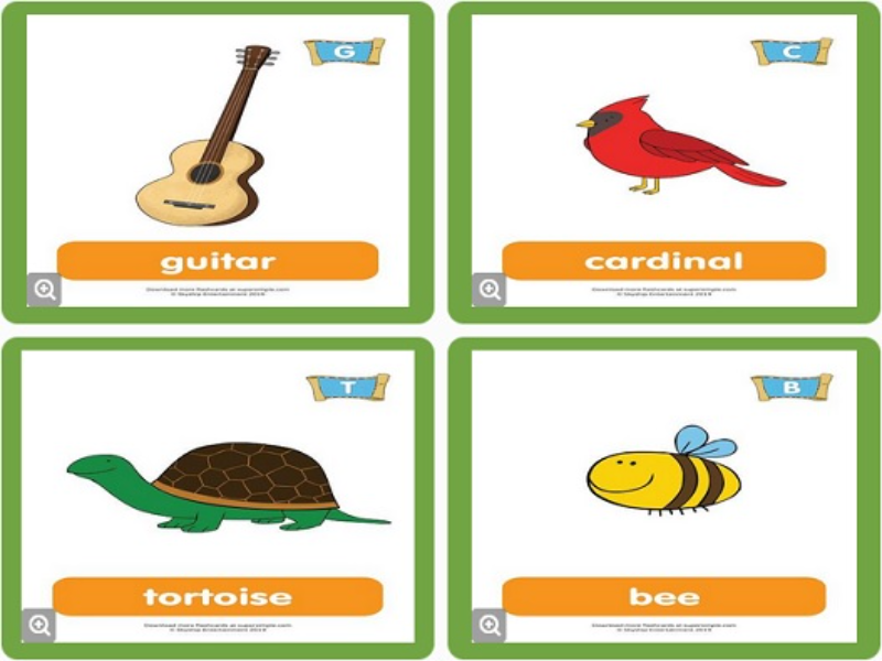guitar cardinal tortoise bee puzzle