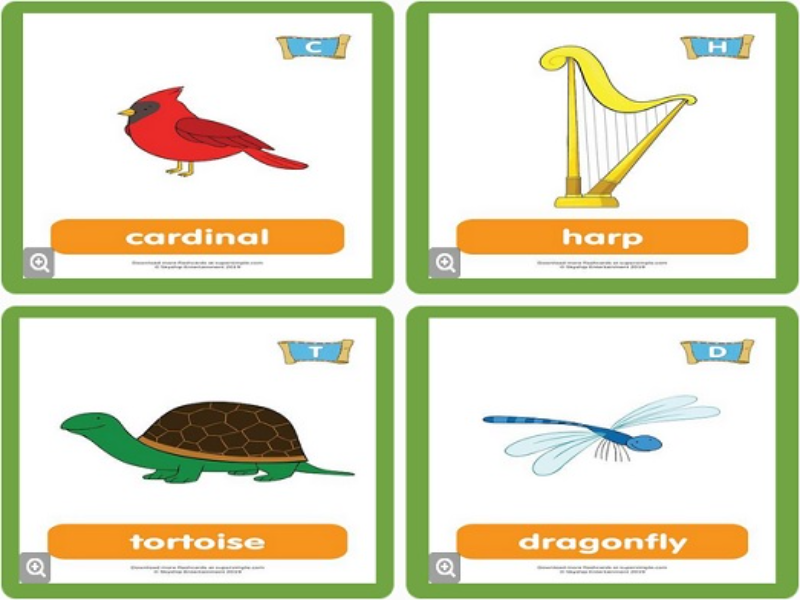 cardinal harp tortoise dragonfly puzzle