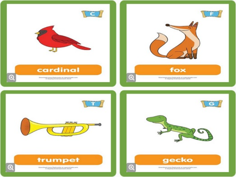 cardinal fox trumpet gecko puzzle