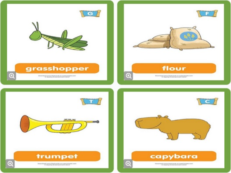 grasshopper flour trumpet capybara puzzle
