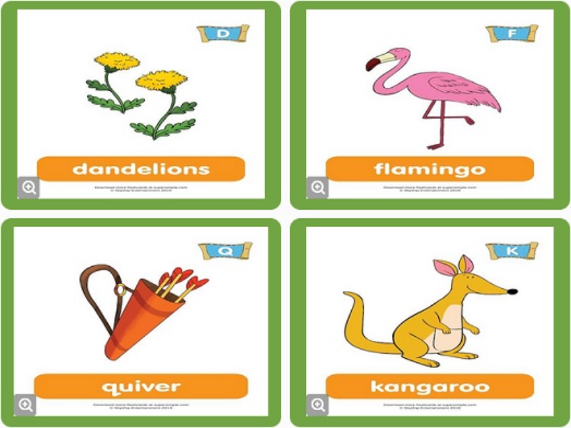 dandelions flamingo quiver kangaroo puzzle