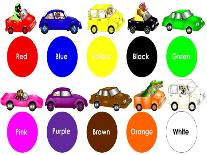 red blue yellow black green pink purple brown orange white puzzle