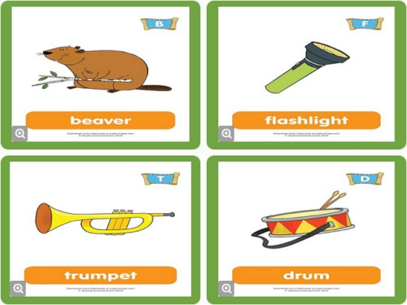 beaver flashlight trumpet drum puzzle