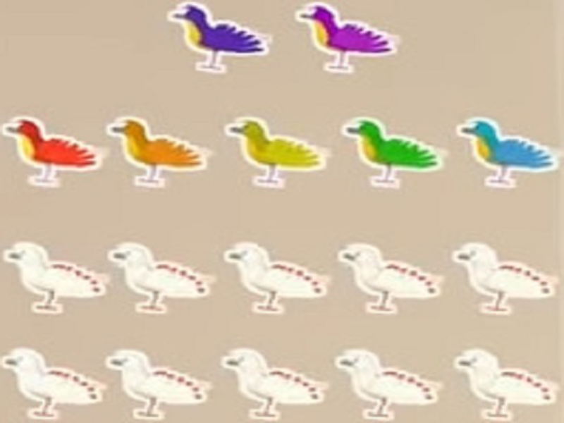 seventeen birds puzzle