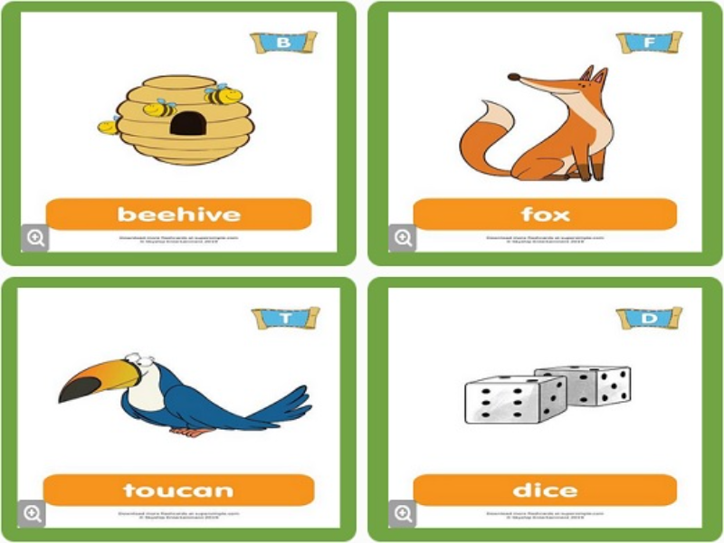 beehive fox toucan dice puzzle