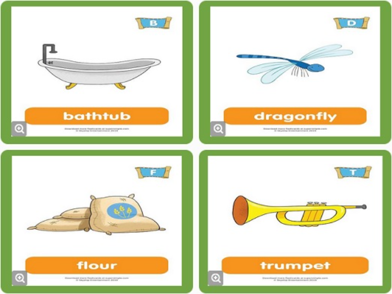 bathtub dragonfly flour trumpet puzzle