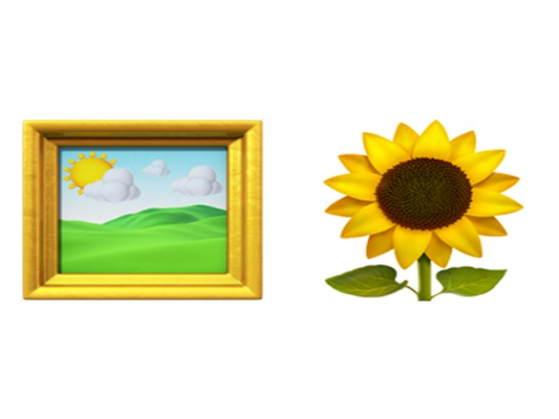 framed picture sunflower puzzle