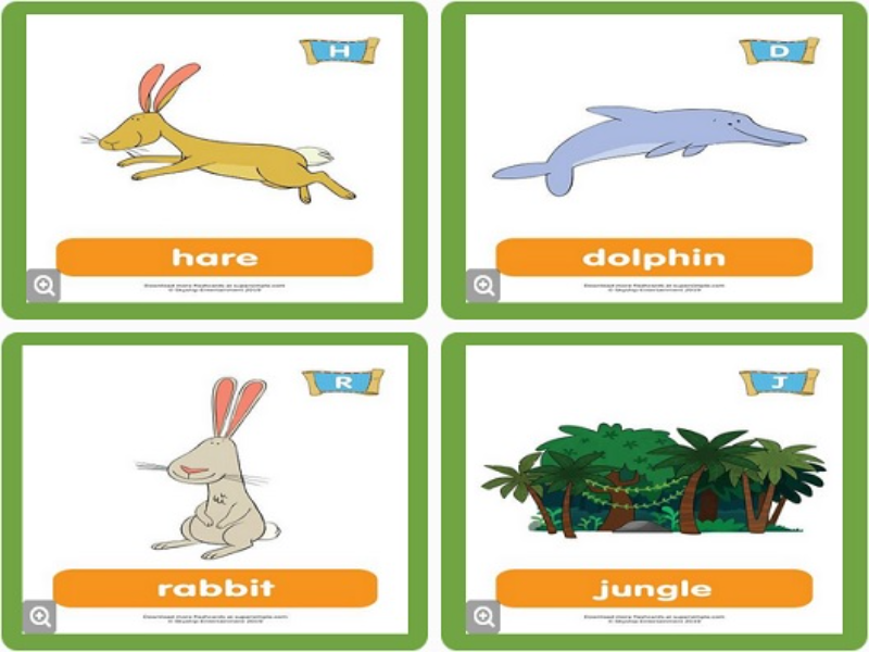 hare dolphin rabbit jungle puzzle