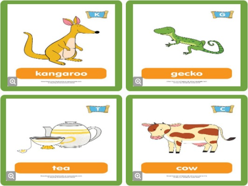 kangaroo gecko tea cow puzzle