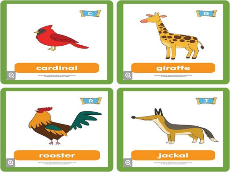cardinal giraffe rooster jackal puzzle