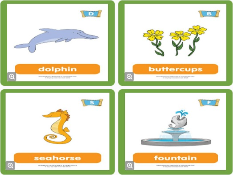 dolphin buttercups seahorse fountain puzzle