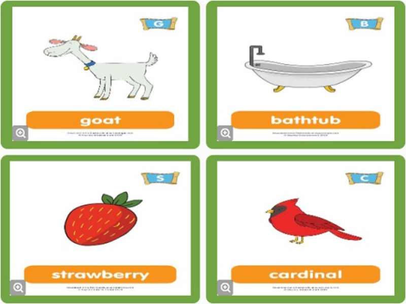 goat bathtub strawberry cardinal puzzle