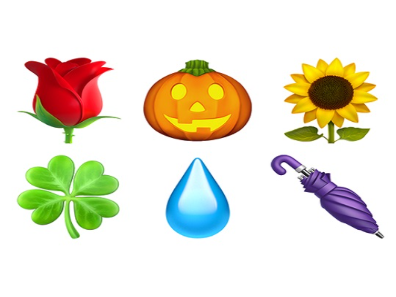 rose jack o lantern sunflower four leaf clover droplet closed umbrella puzzle