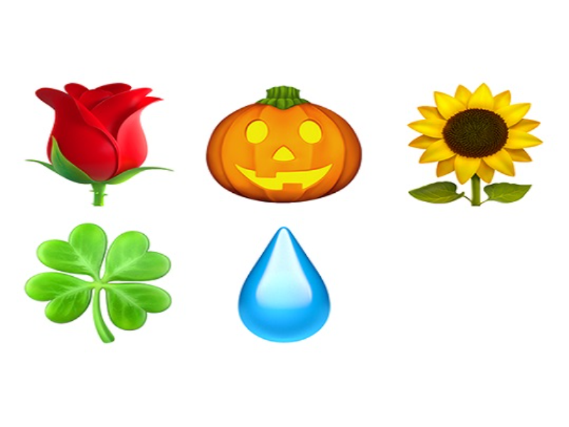 rose jack o lantern sunflower four leaf clover droplet puzzle