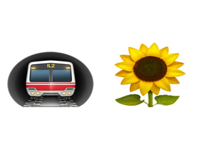 metro sunflower puzzle