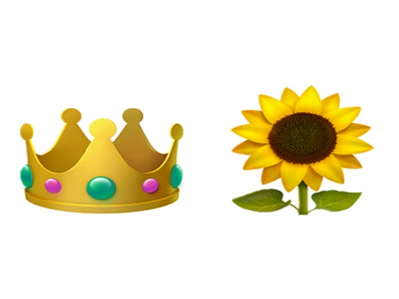 crown sunflower puzzle
