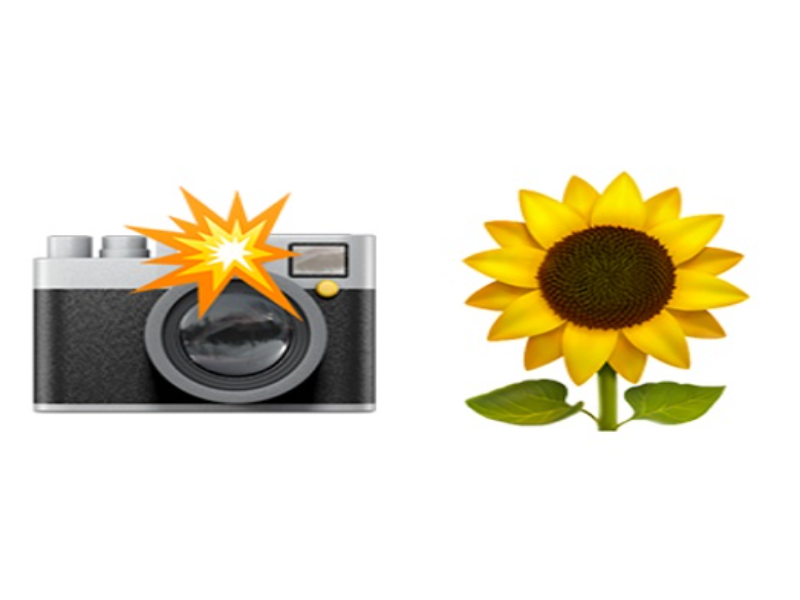camera with flash sunflower puzzle