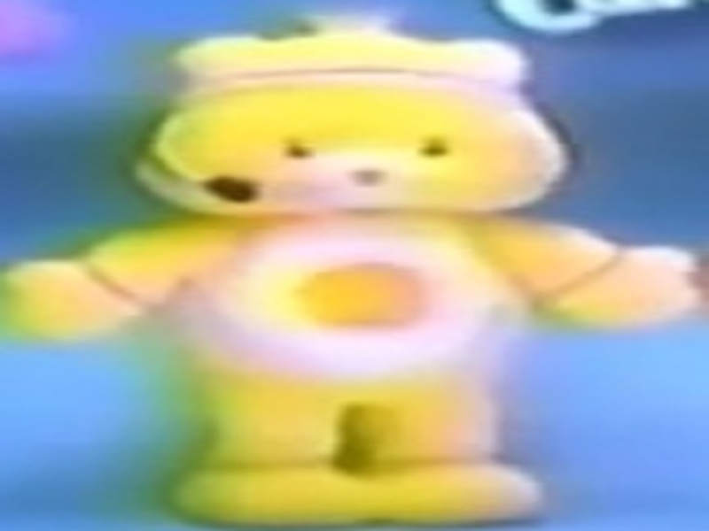 funshine bear puzzle