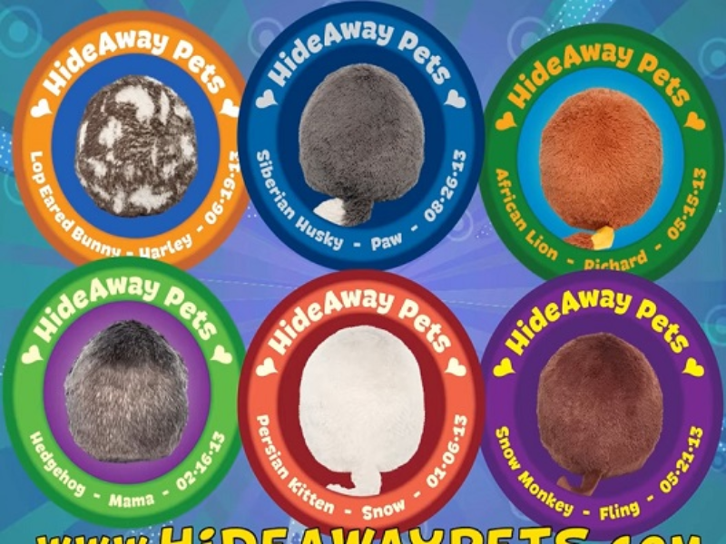 hideaway pets puzzle
