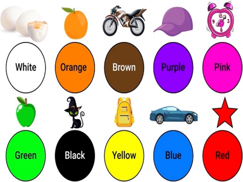 white orange brown purple pink green black yellow blue red puzzle