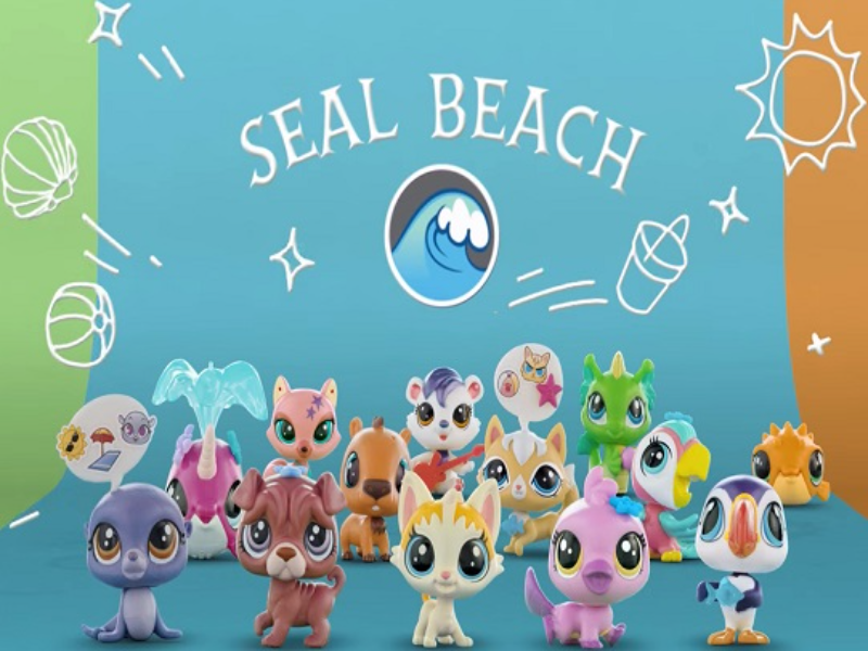 seal beach puzzle