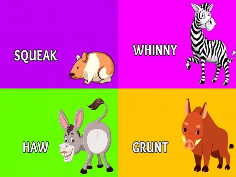 squeak whinny haw grunt puzzle