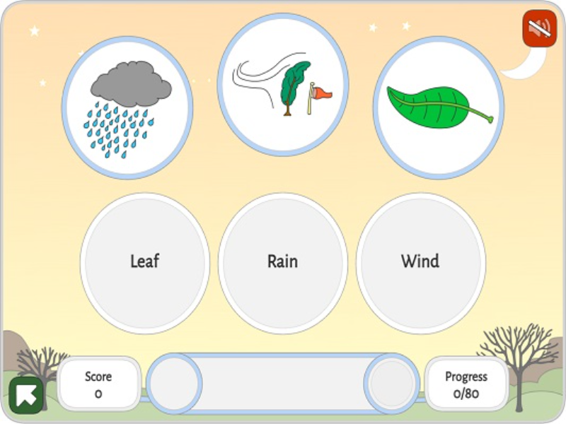 leaf rain wind puzzle
