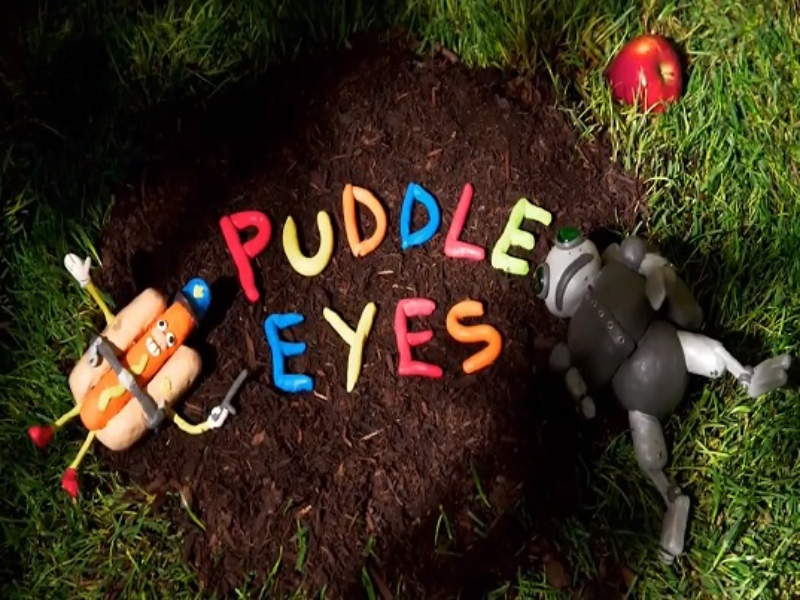 puddle eyes puzzle