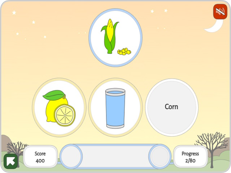 lemon water corn puzzle