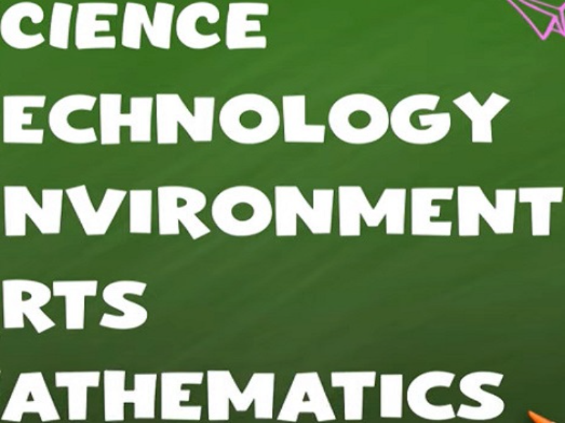 cience echnology nviroment rts athematics puzzle