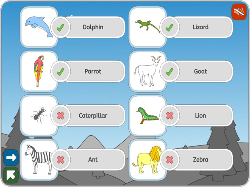 dolphin lizard parrot goat caterpillar lion ant zebra puzzle