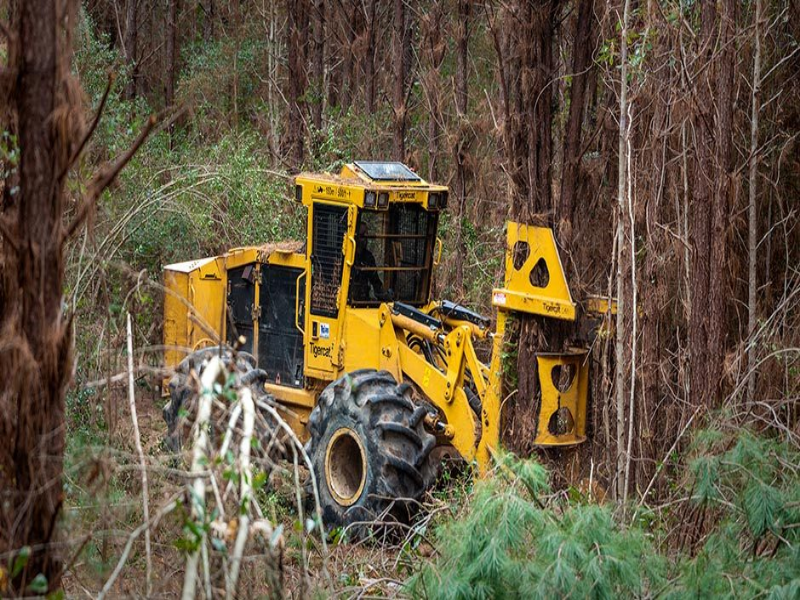 Tigercat Feller Buncher 2000 shear puzzle