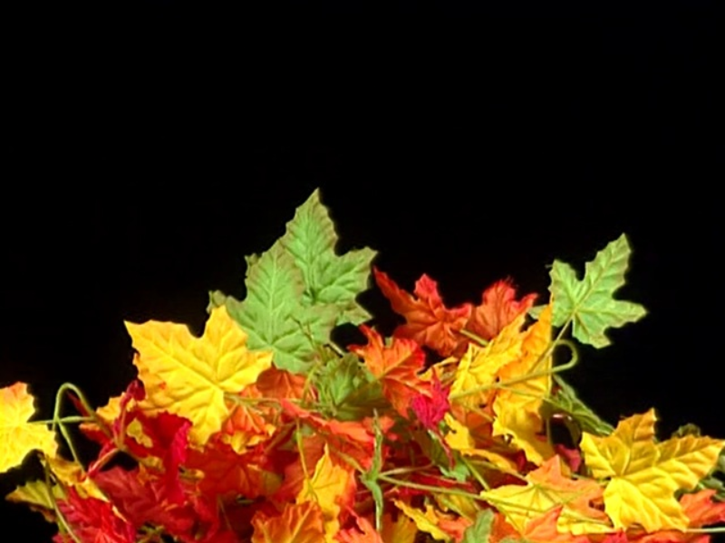 fall leaves pile puzzle