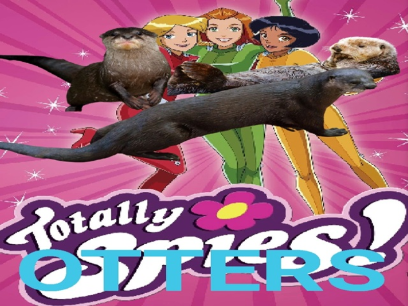 totally otters puzzle