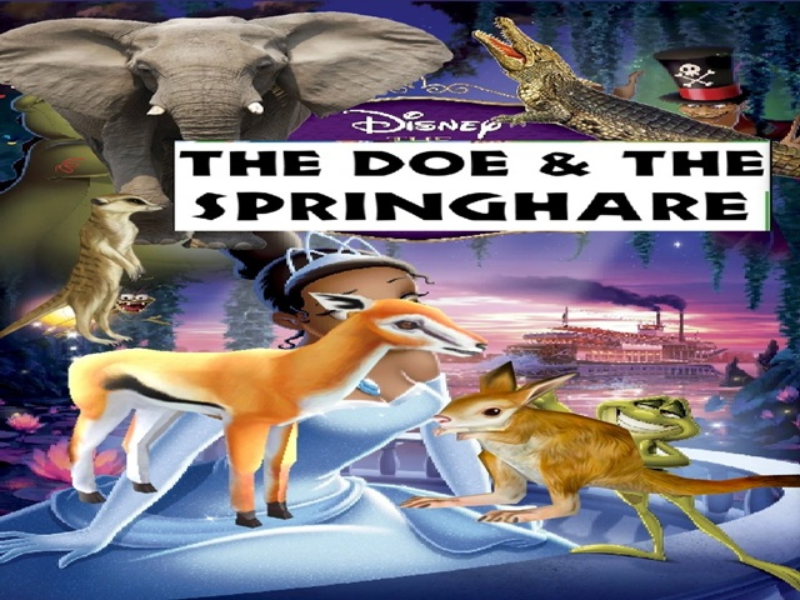 doe springhare puzzle